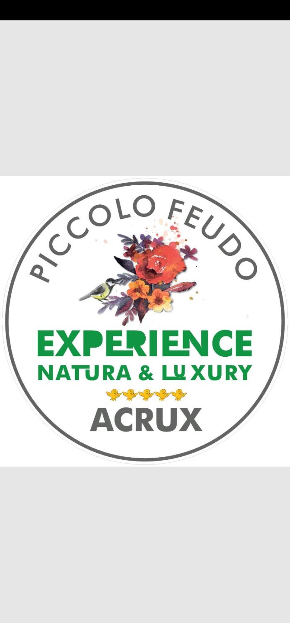 Piccolo Feudo Green Resort (Adults Only) Viterbo Phòng bức ảnh